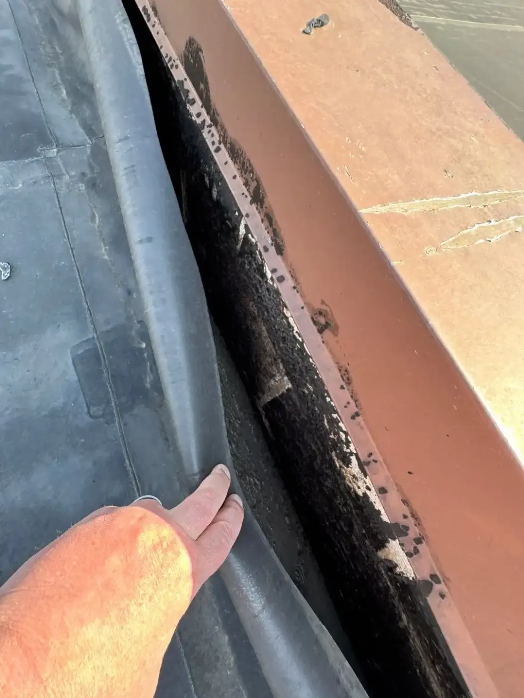 Tarping and dry-in on a Irvington commercial roof